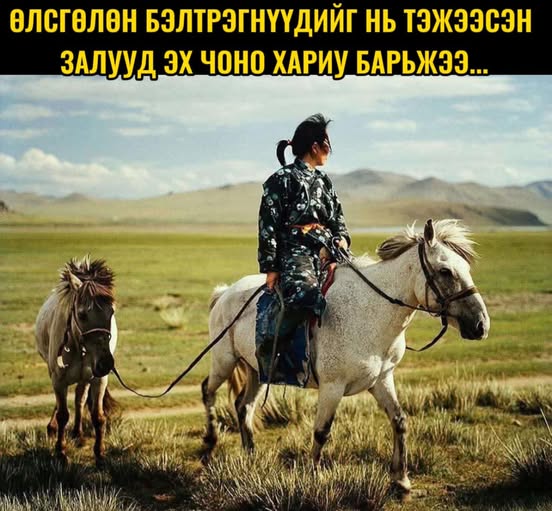 Өлсгөлөн бэлтрэгнүүдийг нь тэжээсэн залууд эх чоно хариу барьжээ...