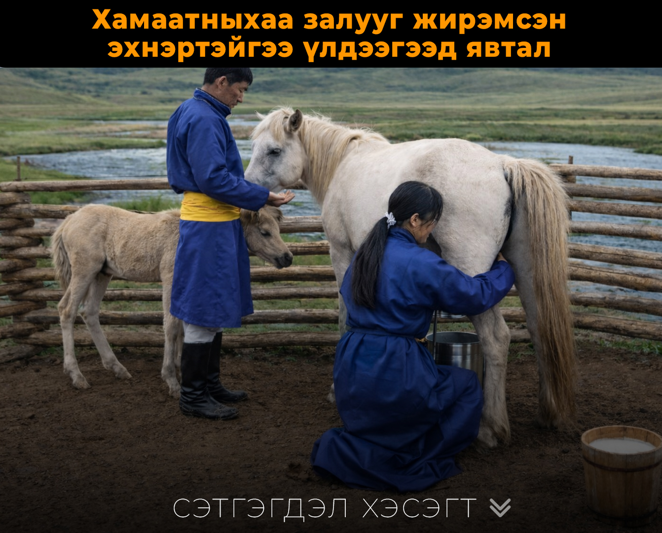 Хамаатныхаа залууг жирэмсэн эхнэртэйгээ үлдээгээд явтал 